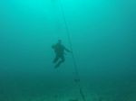 Hawaii Scuba divng 41
