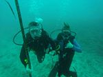 Hawaii Scuba divng 04