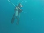 Hawaii Scuba divng 56