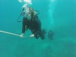 Hawaii Scuba divng 17