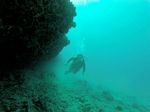 Hawaii Scuba divng 25