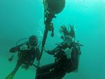 Hawaii Scuba divng 39