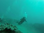 Hawaii Scuba divng 03