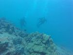 Hawaii Scuba divng 43