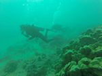 Hawaii Scuba divng 45