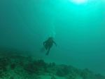 Hawaii Scuba divng 46