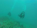 Hawaii Scuba divng 47