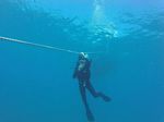 Hawaii Scuba divng 73