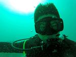 Hawaii Scuba divng 09