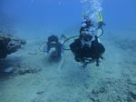 Hawaii Scuba divng 12