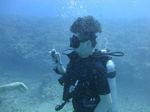 Hawaii Scuba divng 16