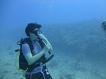 Hawaii Scuba divng 17