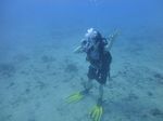 Hawaii Scuba divng 18