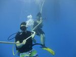 Hawaii Scuba divng 25