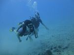 Hawaii Scuba divng 29