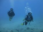 Hawaii Scuba divng 31