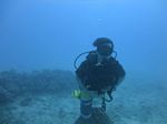 Hawaii Scuba divng 36