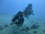 Hawaii Scuba divng 39