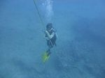 Hawaii Scuba divng 40