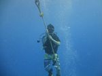 Hawaii Scuba divng 41