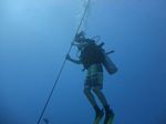 Hawaii Scuba divng 08