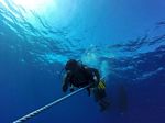 Hawaii Scuba divng 11