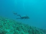 Hawaii Scuba divng 12