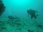 Hawaii Scuba divng 17