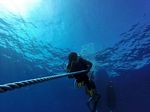 Hawaii Scuba divng 22