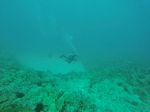 Hawaii Scuba divng 25