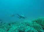 Hawaii Scuba divng 28