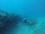 Hawaii Scuba divng 29