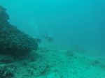 Hawaii Scuba divng 36