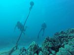 Hawaii Scuba divng 51