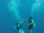 Hawaii Scuba divng 57