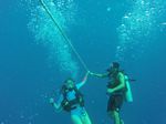 Hawaii Scuba divng 57