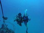 Hawaii Scuba divng 60