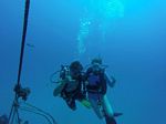 Hawaii Scuba divng 61