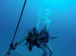 Hawaii Scuba divng 62