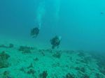 Hawaii Scuba divng 07