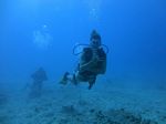 Oahu Scuba 24