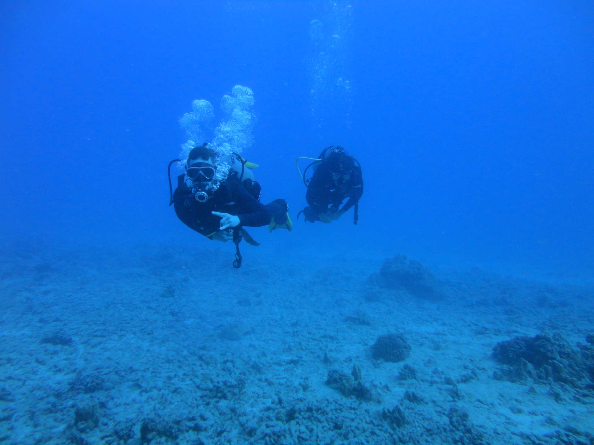 Oahu Scuba - 01-13-2019