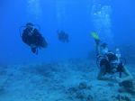 Oahu Scuba 46