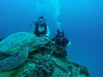 Hawaii Scuba divng 34