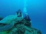 Hawaii Scuba divng 35