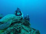 Hawaii Scuba divng 37