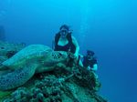 Hawaii Scuba divng 38