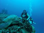 Hawaii Scuba divng 39