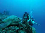 Hawaii Scuba divng 40