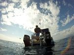 Hawaii Scuba divng 56